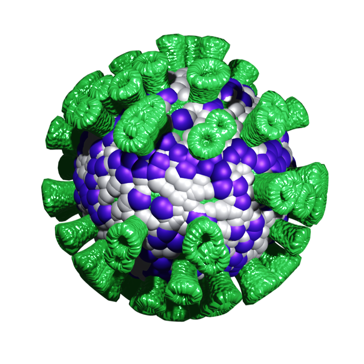 Norovirus